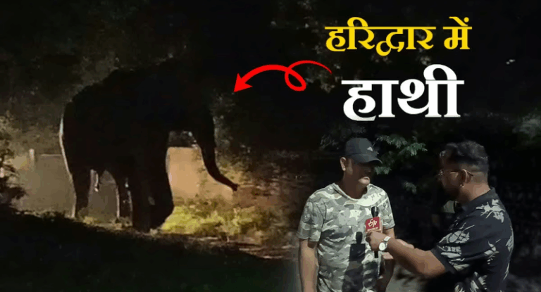 Screenshot_20250711-083541~2