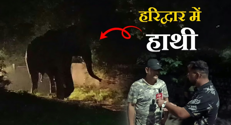 Screenshot_20250711-083541~2