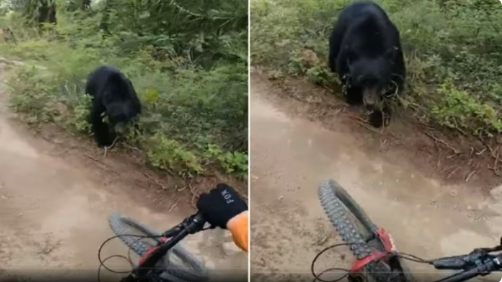 Screenshot_20250711-084602~2