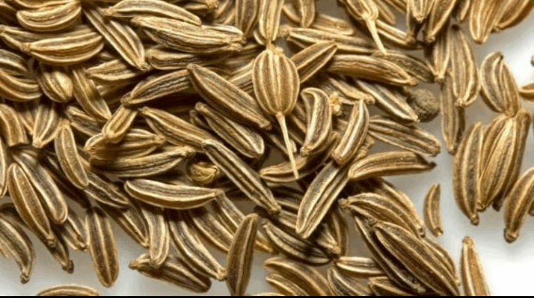 Screenshot_20250715-141059~2