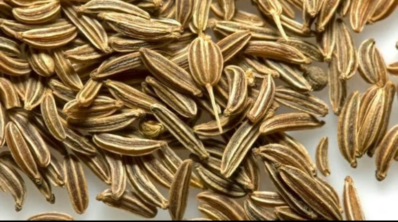 Screenshot_20250715-141059~2