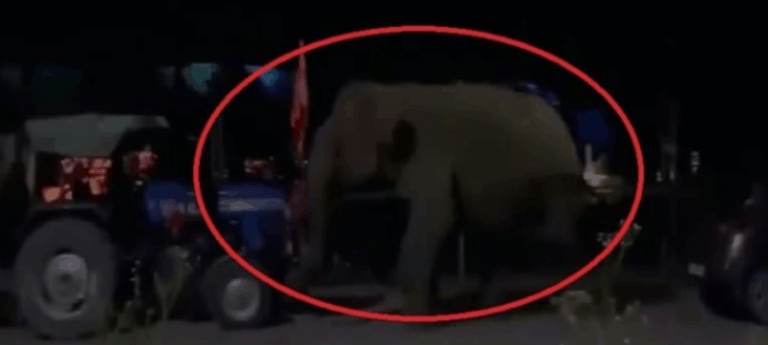 Screenshot_20250721-081245~2