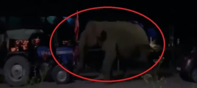 Screenshot_20250721-081245~2