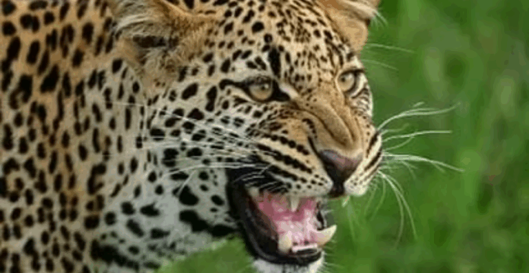 Screenshot_20250721-082858~2