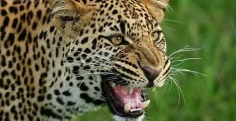 Screenshot_20250721-082858~2