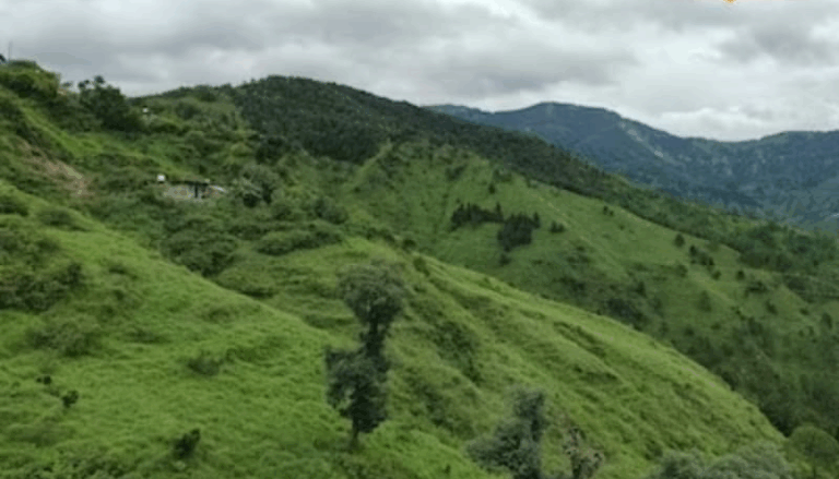 Screenshot_20250722-081926~2