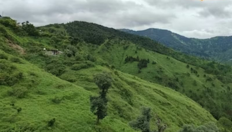 Screenshot_20250722-081926~2