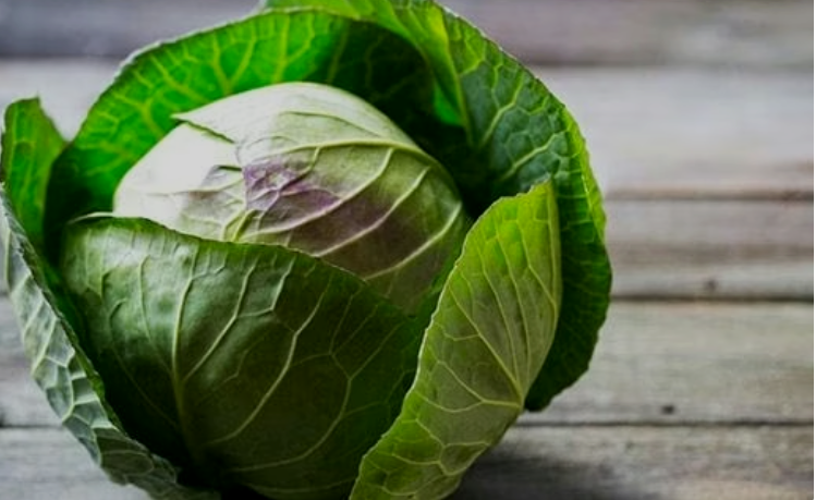 Screenshot_20250724-072915~2