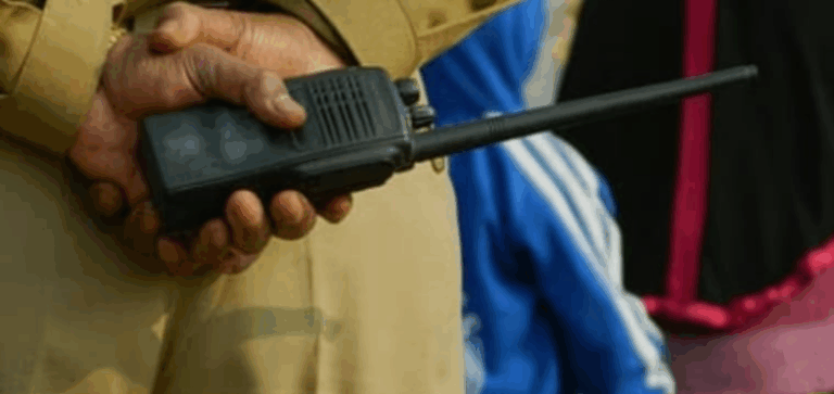 Screenshot_20250724-074127~2