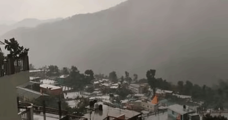 Screenshot_20250729-081451~2