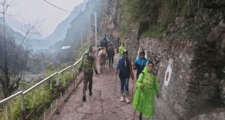 Screenshot_20250729-084416~2