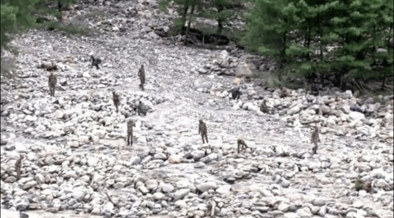 Screenshot_20250808-074035~2