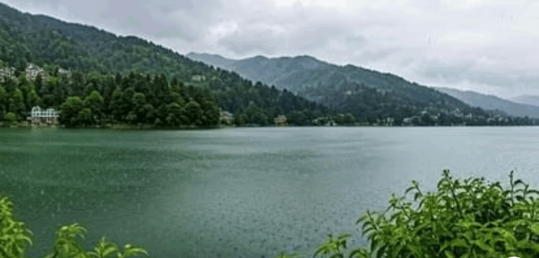 Screenshot_20250812-075547~2