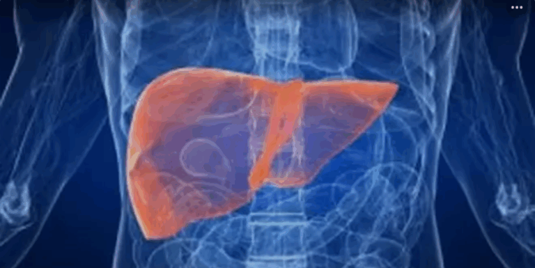 Screenshot_20250812-081314~2