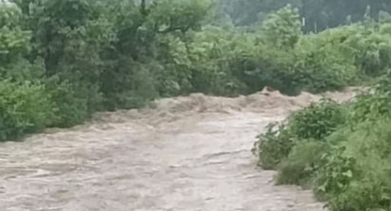 Screenshot_20250813-074424~2