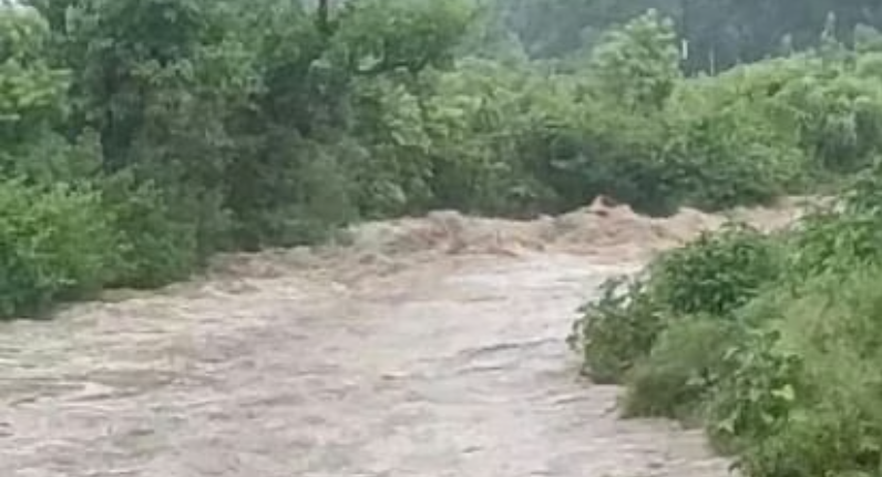 Screenshot_20250813-074424~2