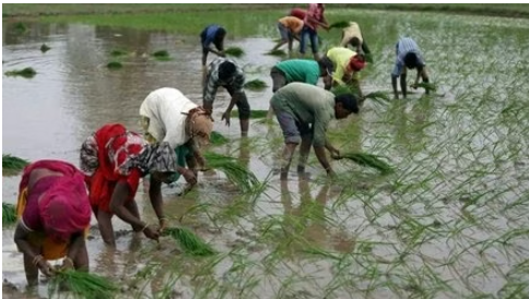 Screenshot_20250813-081159~2