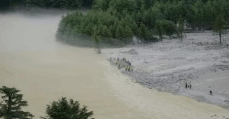 Screenshot_20250815-080853~2