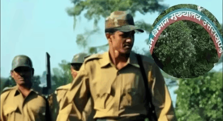 Screenshot_20250818-081710~2