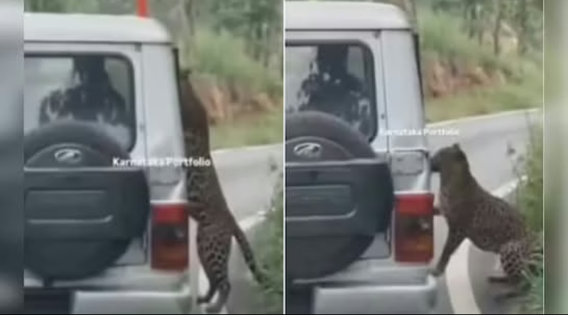 Screenshot_20250818-082226~2