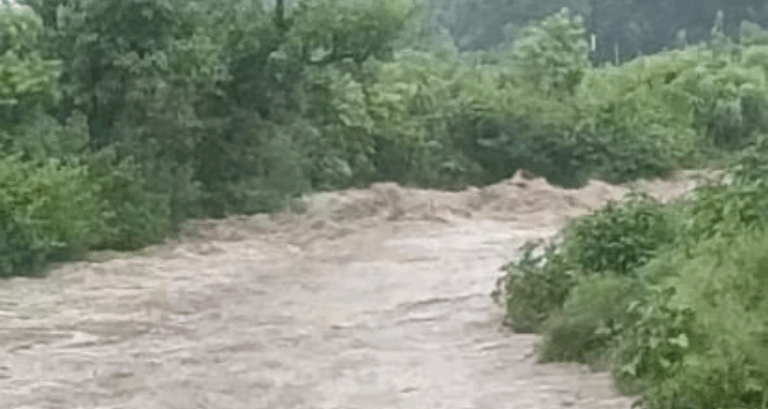 Screenshot_20250818-175844~2