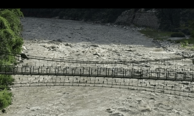 Screenshot_20250819-072903~2