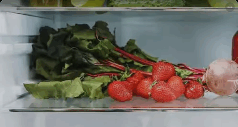 Screenshot_20250822-084135~2