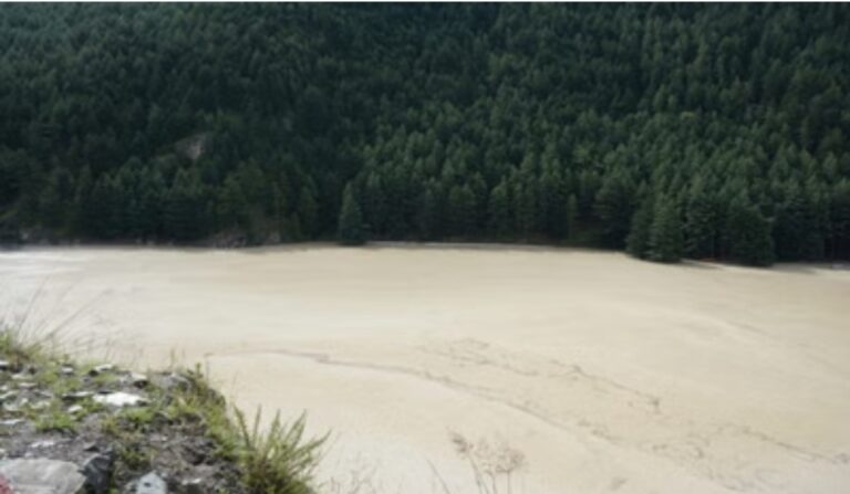 Screenshot_20250823_034639_Chrome