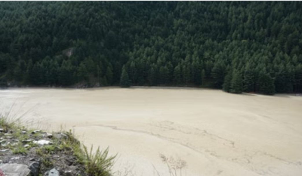 Screenshot_20250823_034639_Chrome