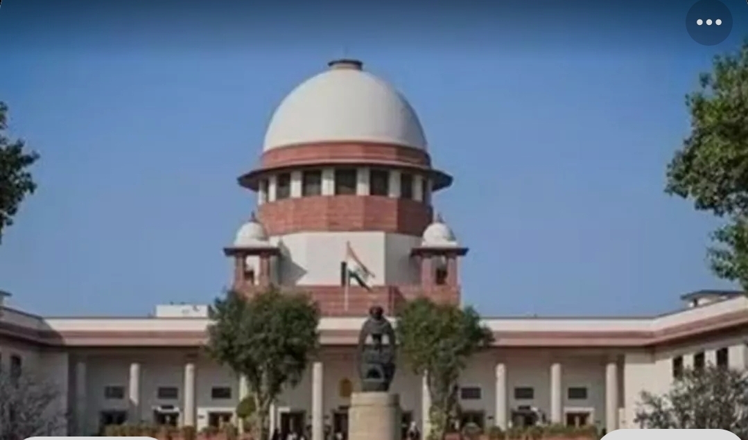 Screenshot_20250823_041751_Google