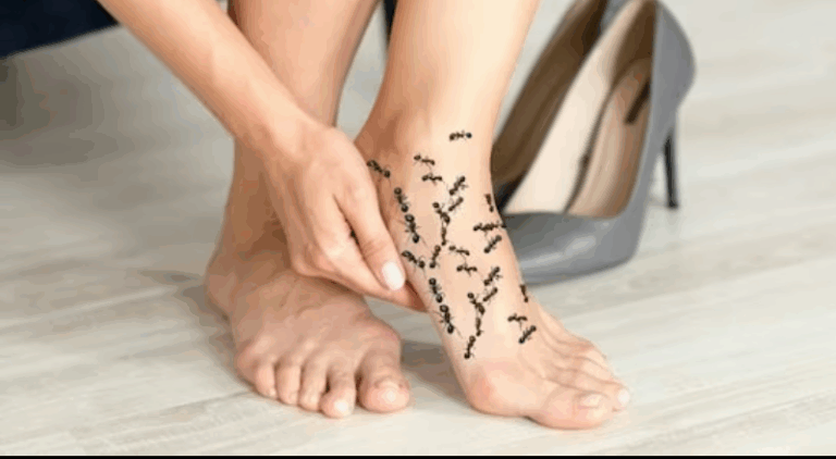 Screenshot_20250827-083913~2