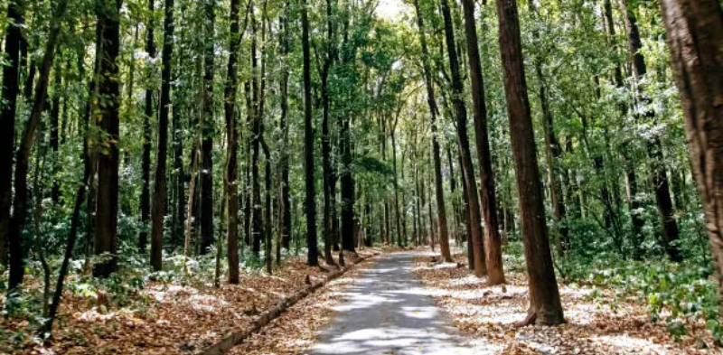 Screenshot_20250831-083650~2