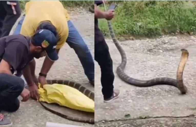 Screenshot_20250831-192121~2