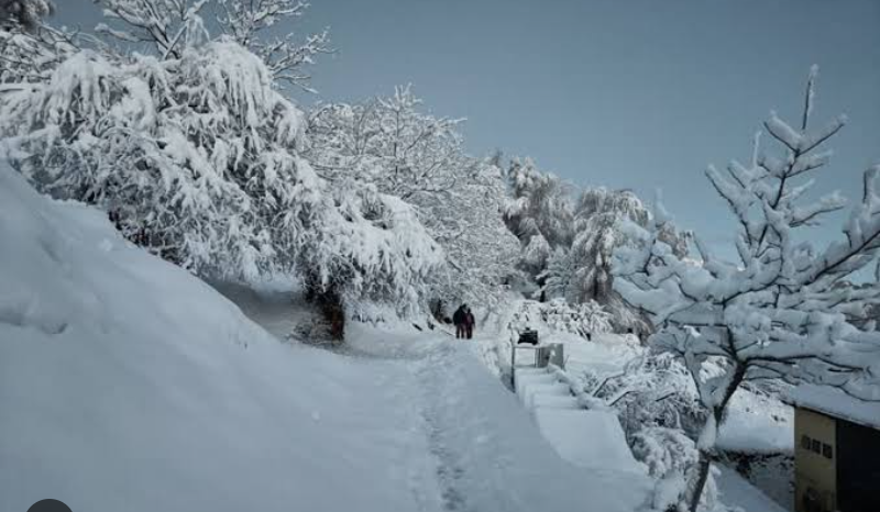 Screenshot_20250903-080346~2