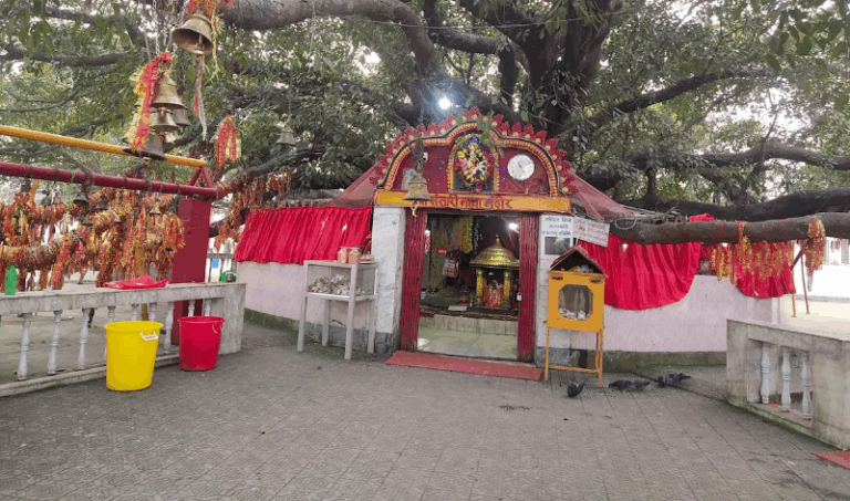 Screenshot_20250903-080832~2