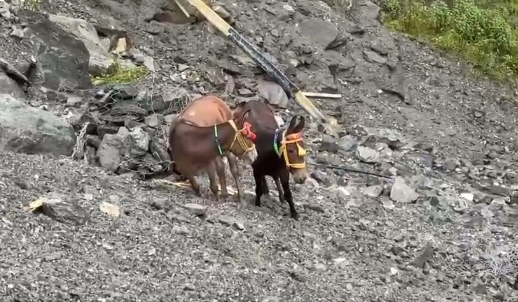 Screenshot_20250903_123056_WhatsApp