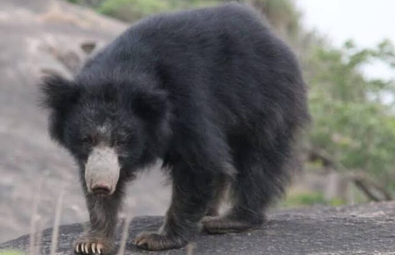 Screenshot_20250907-083226~2