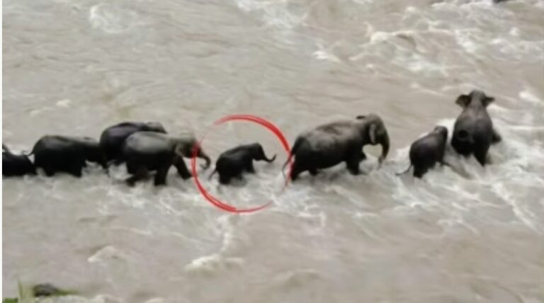 Screenshot_20250910-073759~2