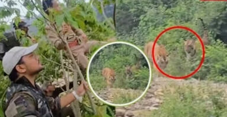 Screenshot_20250914-082959~2