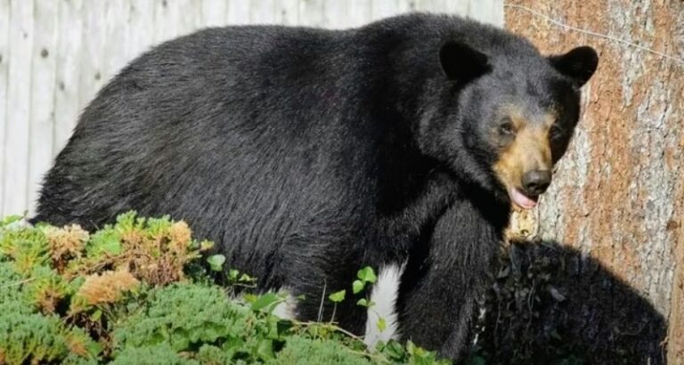 Screenshot_20250916-083957~2