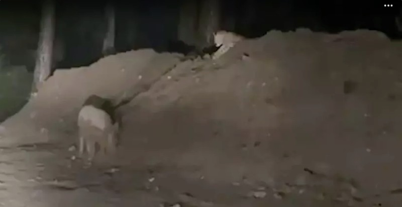 Screenshot_20250916-091457~2