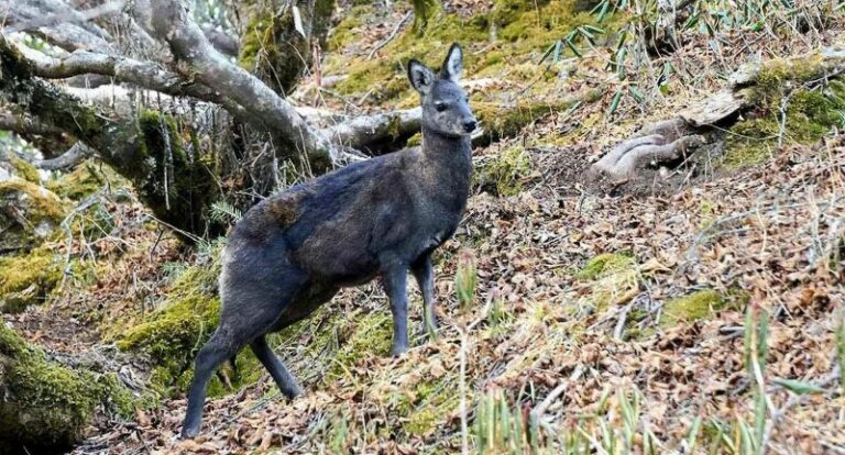 Screenshot_20250923-074301~2