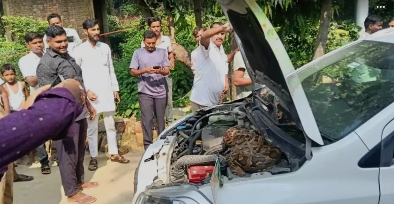 Screenshot_20250923-103327~2