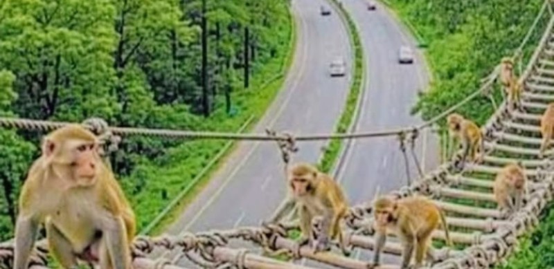 Screenshot_20250927-071004~2