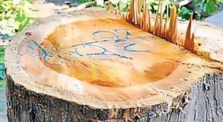 Screenshot_20250928_090524_Chrome