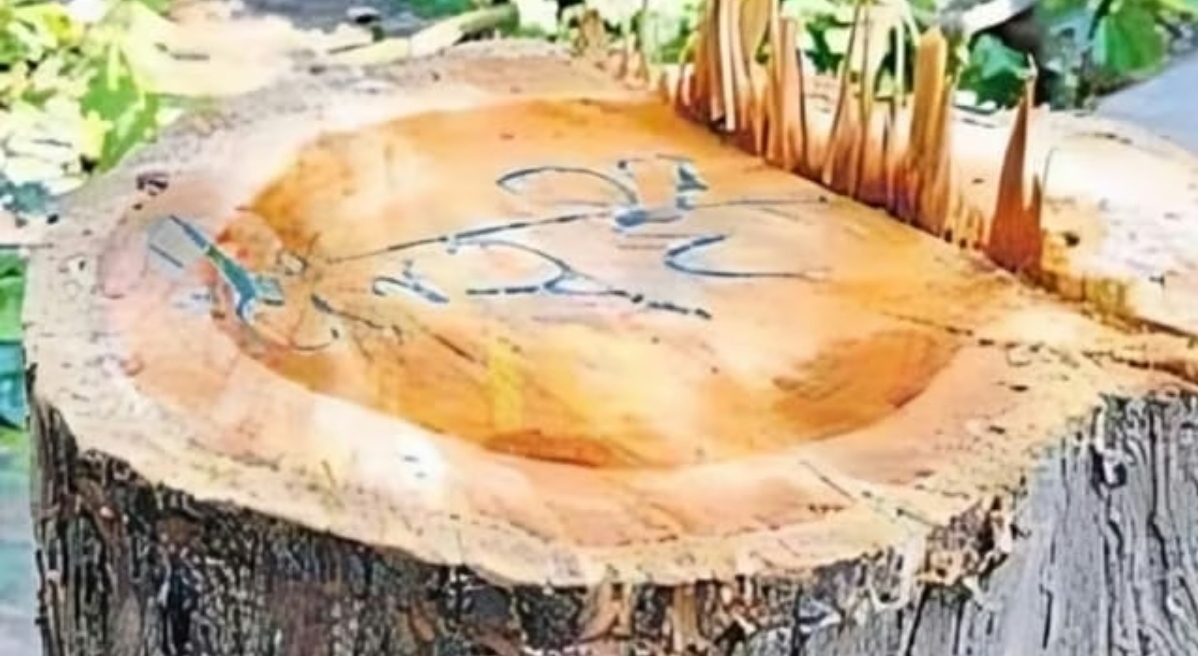 Screenshot_20250928_090524_Chrome