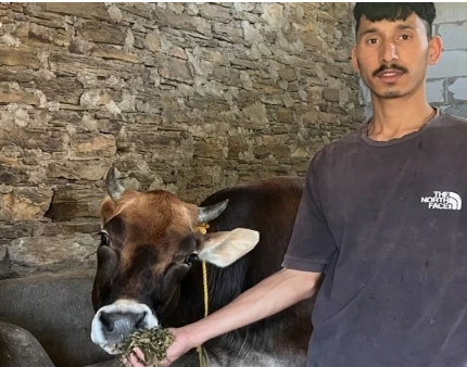 Screenshot_20251003_074039_Chrome