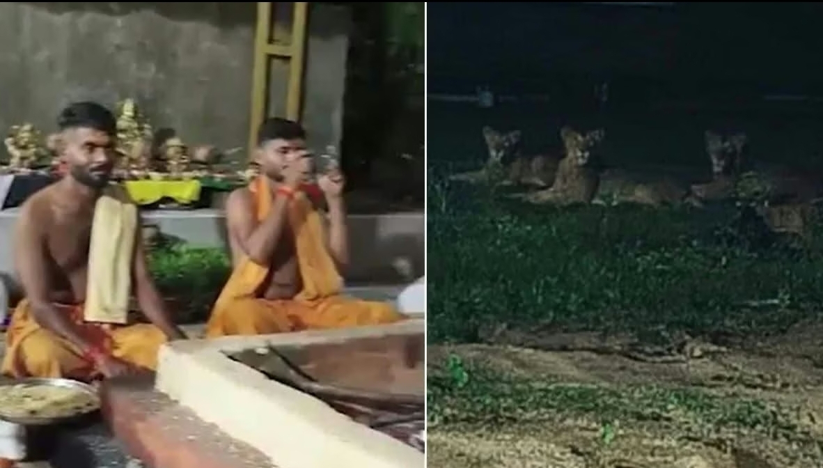 Screenshot_20251004_080911_Chrome