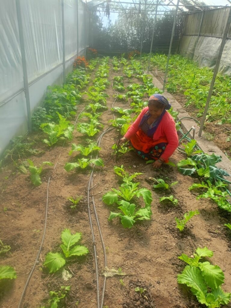 Screenshot_20251011_142028_WhatsApp