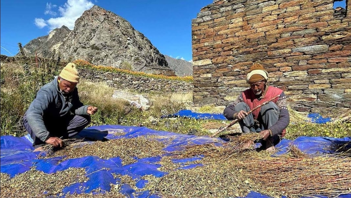 Screenshot_20251021_084856_Chrome